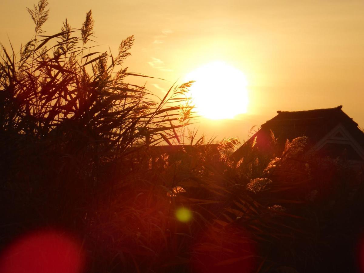 Pfahlbau Sunset I Toplage Elektroboot Inklusive ルスト エクステリア 写真