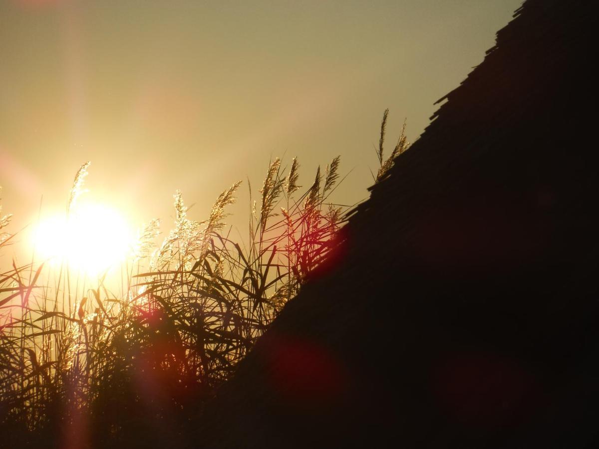 Pfahlbau Sunset I Toplage Elektroboot Inklusive ルスト エクステリア 写真