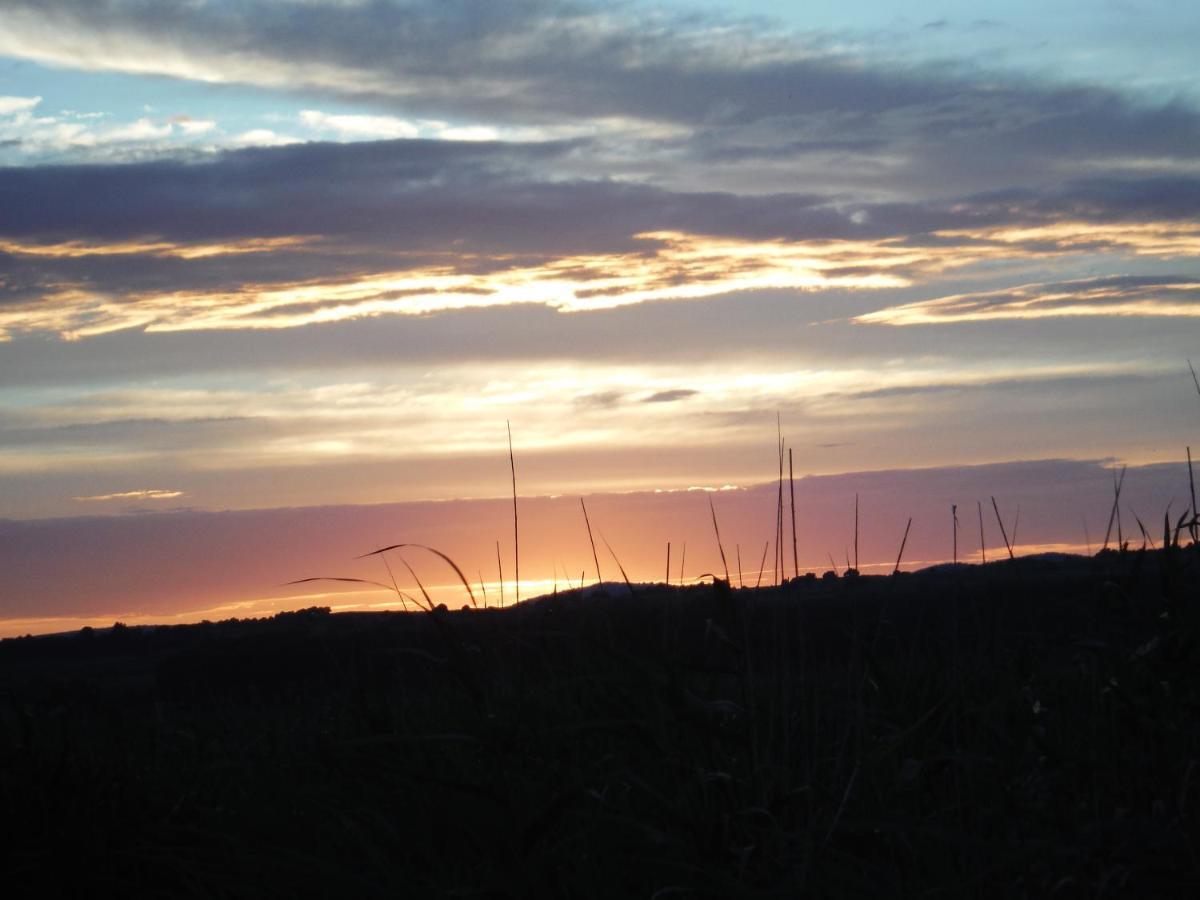 Pfahlbau Sunset I Toplage Elektroboot Inklusive ルスト エクステリア 写真
